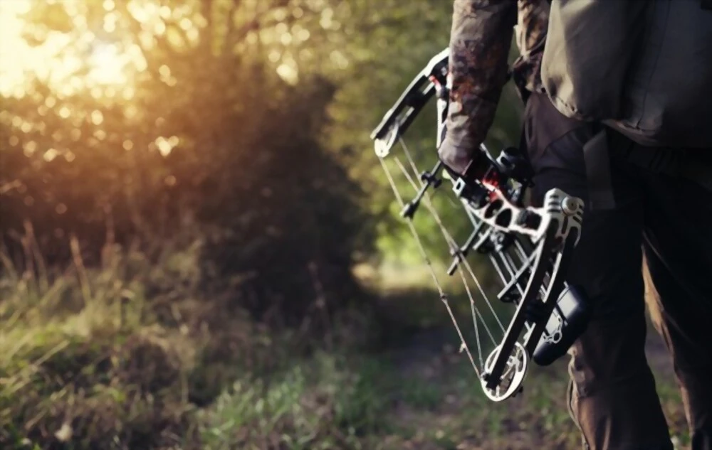 How Much Does It Cost To Restring A Compound Bow? 