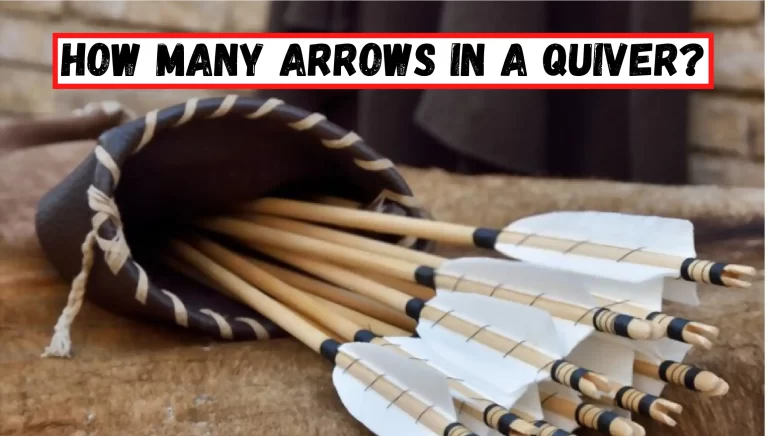 How Many Arrows In A Quiver? – [Beginner’s Guide]