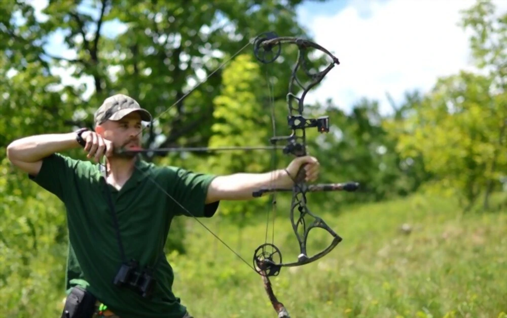 How To Aim With A Compound Bow?