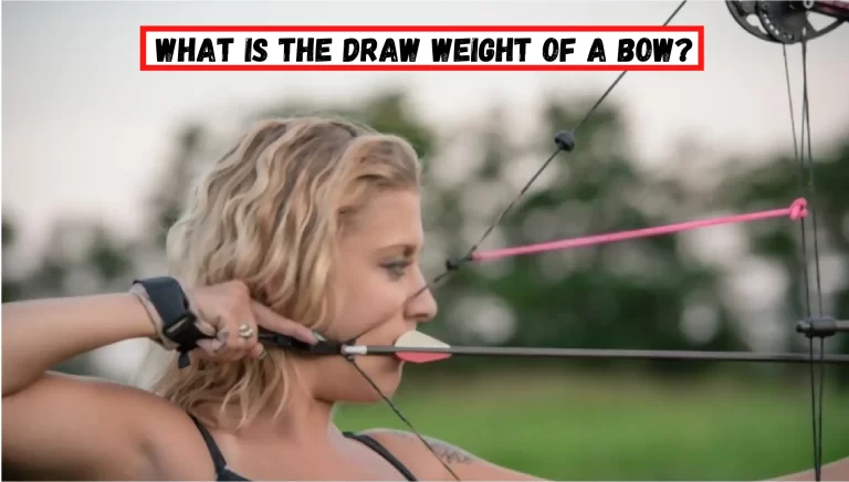 What is the Draw Weight of a Bow? – (Ultimate Guide)