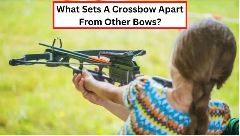 What Sets a Crossbow Apart From Other Bows? – [The Truth]