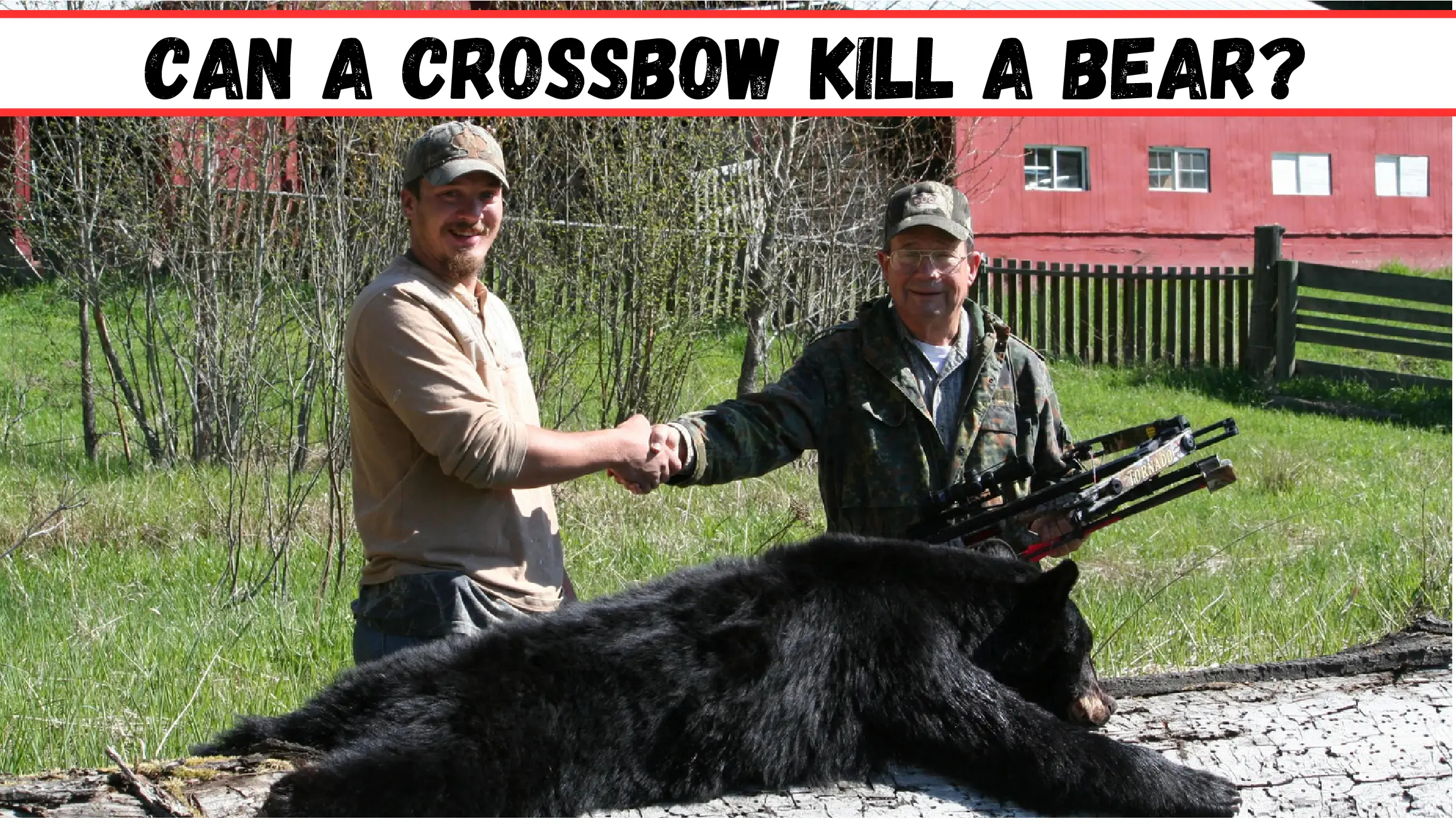 Can a Crossbow Kill a Bear? [Detailed Guide]