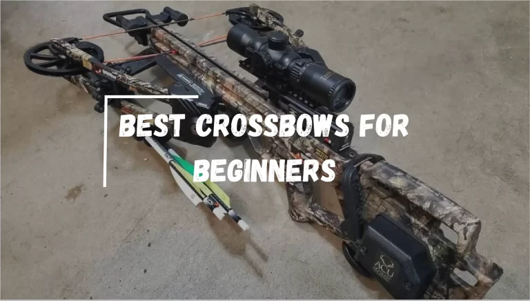 7 Best Crossbow For Beginners 2023 – [Expert Recommendations]