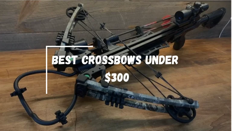 5 Best Crossbows Under $300 – [Quality in Budget]
