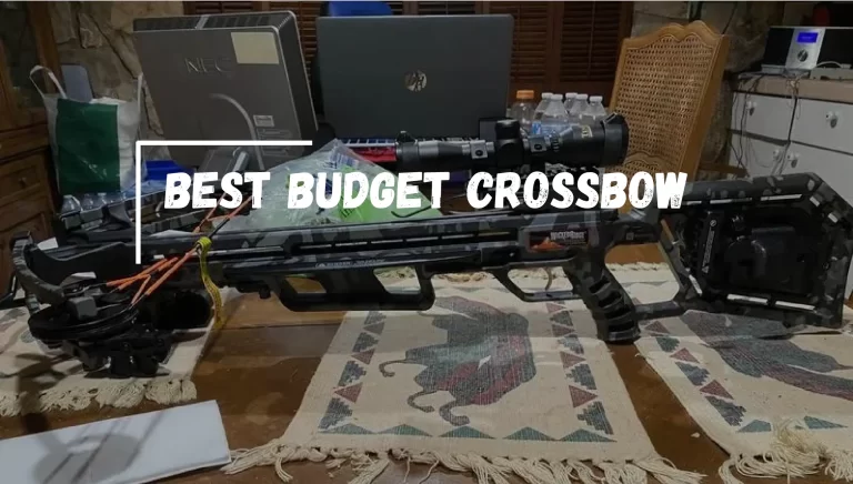 Best Budget Crossbow in 2024 – [We Bought & Tested]