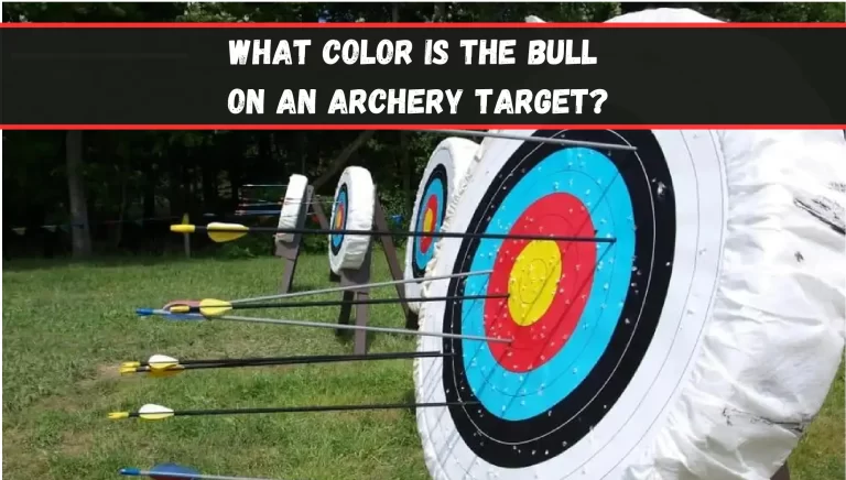What Color is the Bull on an Archery Target?