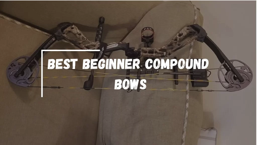 Best Beginner Compound Bows