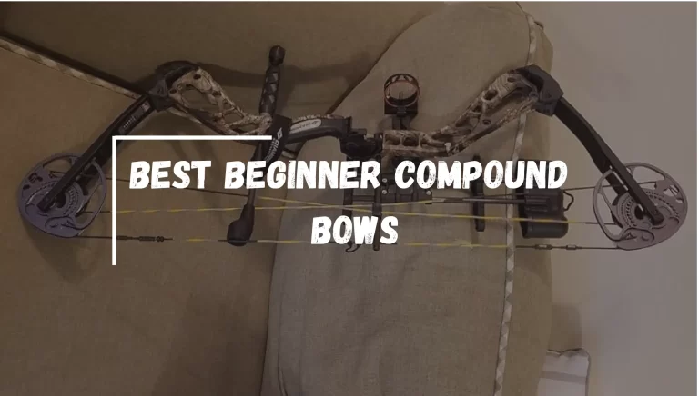 Best Beginner Compound Bows 2023 – [Tested & Approved]