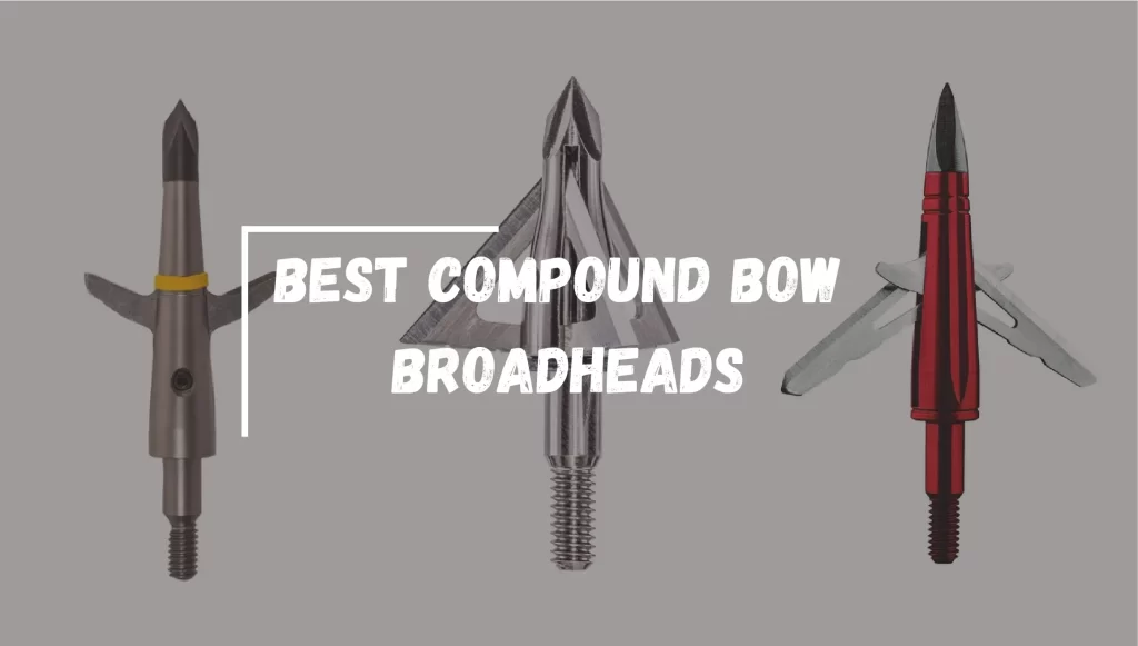 Best Compound Bow Broadheads