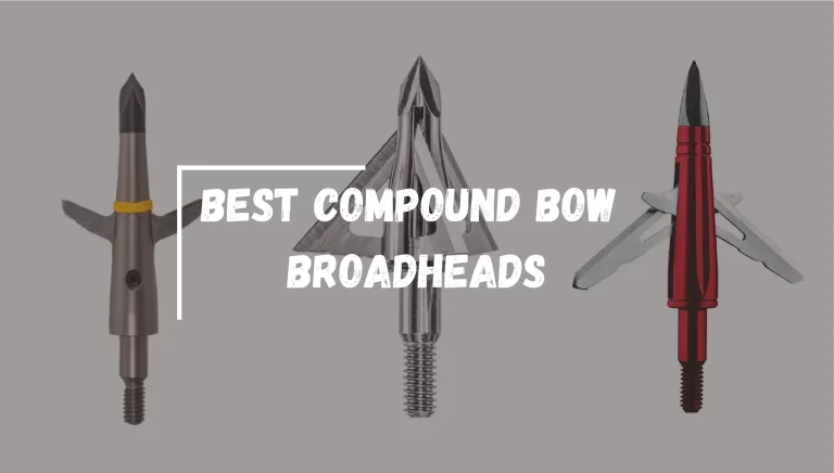 Best Compound Bow Broadheads 2023 – [Recommended by Experts]