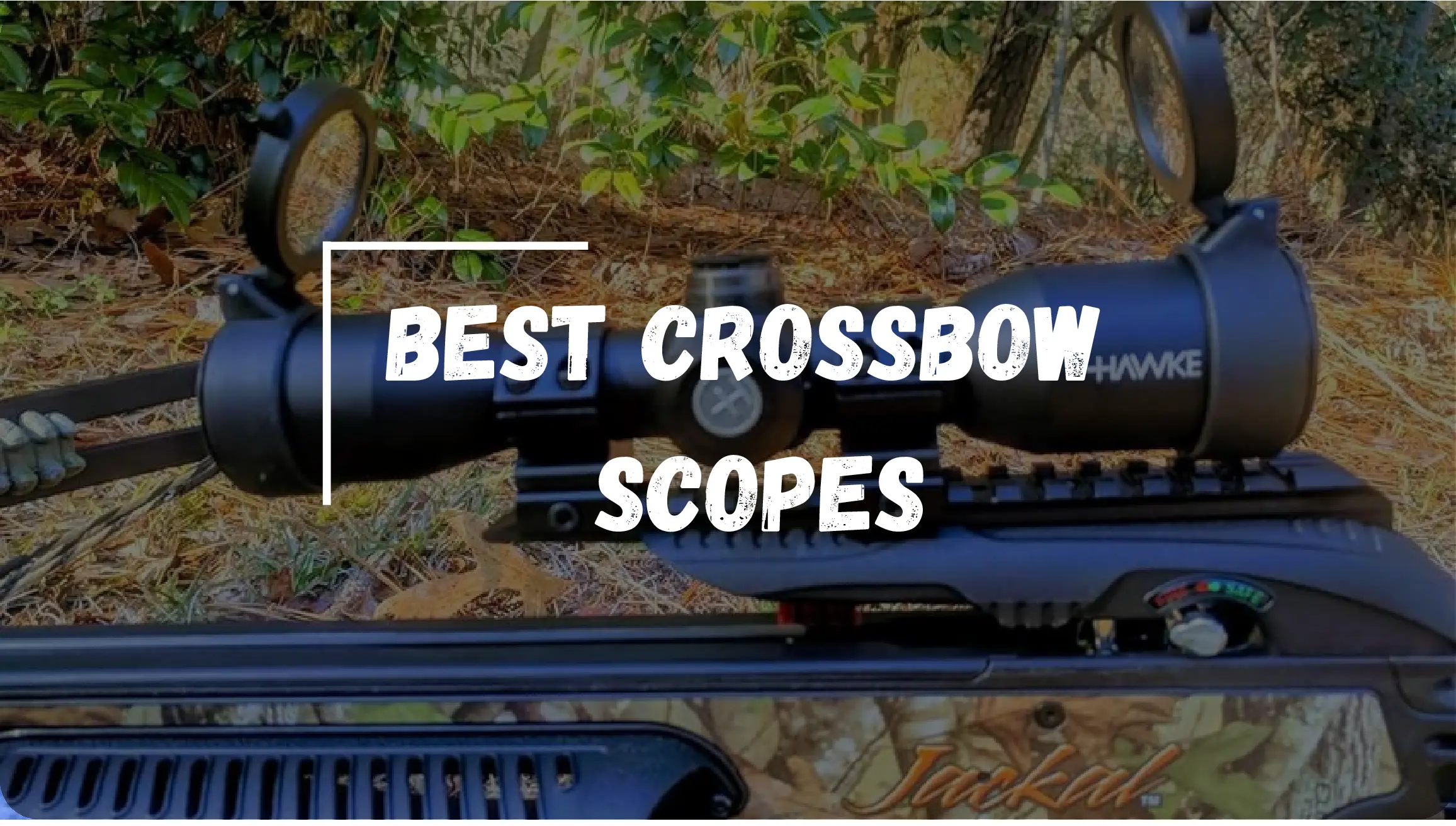Best Crossbow Scopes.webp
