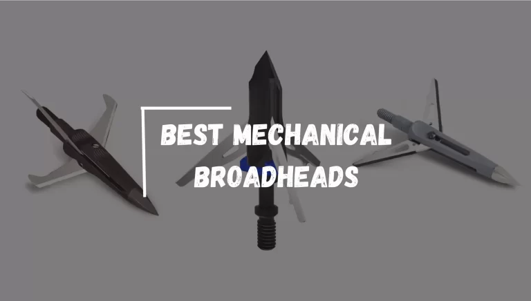 Best Mechanical Broadheads 2024 – [Our Top Recommended]