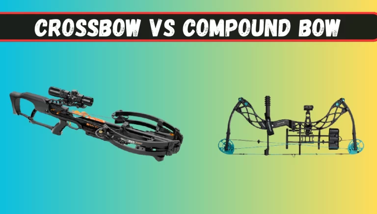 Crossbow Vs Compound Bow – Which is Best For You?